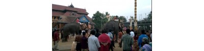 செங்கன்னூர் பகவதி - மாவேலிக்கரை - கேரளா